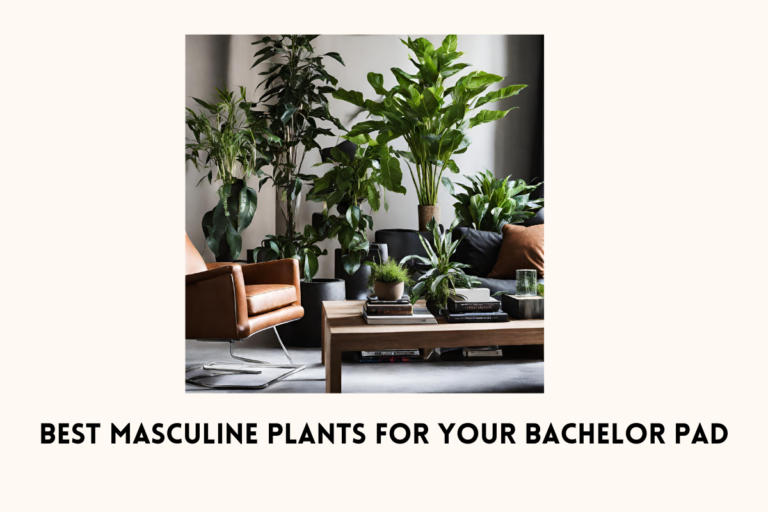 10 Best Masculine Plants for Your Bachelor Pad