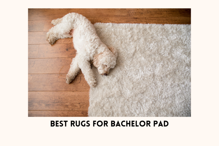 Best 5 Stylish and Durable Rugs for Your Bachelor Pad