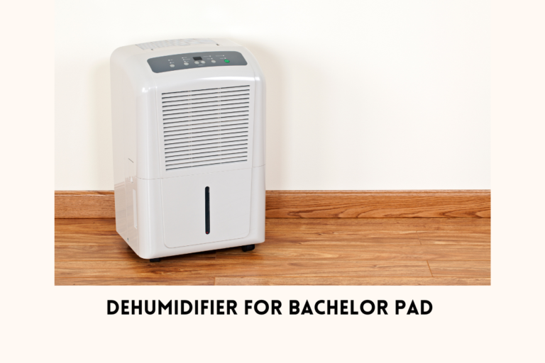 Top 5 Compact Dehumidifiers Perfect for Your Bachelor Pad